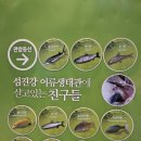 섬진강어류생태관 이미지