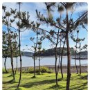 데일리멍 이미지