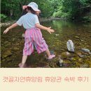 갯골자연휴양림 | 갯골자연휴양림 휴양관 숙박 후기 예약 계곡 물놀이