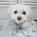 아로마타임