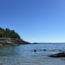 옥돌포레스트 이미지