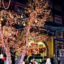 영남불교대학 앞 이미지