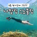 슬로우다이브 | 보홀 나팔링 정어리떼 스노쿨링 / 현지업체 추천 / 제프 다이브 후기