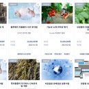 링크플랫폼 네이버블로그