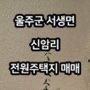더웰시부동산중개 이미지
