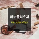 파노플리 티스토리