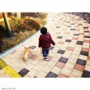 수인펫 이미지