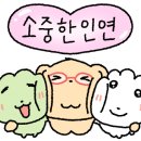 10월 8일 생일화- 파슬리(Parsley), '승리'의 향기 이미지