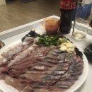 푸른용궁회 이미지