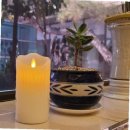 성당초교 이미지