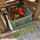 기두농장 이미지