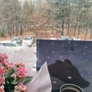 그림책산책 이미지