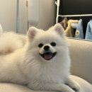 뉴에스동물병원 이미지