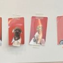 그로서리 메리그린 이미지