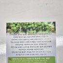 행운만땅농원