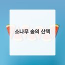 바다와 하루 | 강릉의 숨은 매력 발견 바다와 산이 어우러진 하루 후기