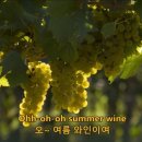 앵콜 업로드 summerwine 이미지