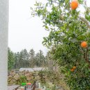 와산스테이 인 제주 이미지