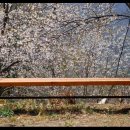 인삼전시관 이미지