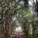 [나홀로 우리 땅 걷기] 나바론 요새처럼 깎아지른 절벽 길을 걷다 이미지