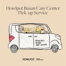 하울팟 부산케어센터 이미지