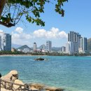 강수목장 | 나트랑 4월 날씨 건기 우기 옷차림 준비물 투어 추천