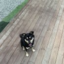 남서울신용협동조합노동조합 | 먹고 바로 누우면 안 되니까 누워서 먹자.