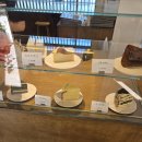 궁말11 (apmadang) | 과천 애견카페 앞마당 Apmadang 뒤에 놀이터