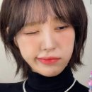 헤어메머리