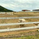 클라우드힐 이미지