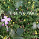 색달동-13 네이버블로그