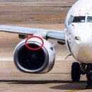 [사고] B737 항공기 스페인 지로나에 접근중 심각한 버드스트라이크 발생 이미지