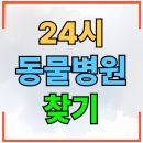 연합동물병원 | 24시 동물병원 + 전국 총정리