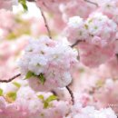 회수동-4 이미지