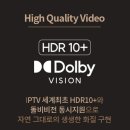 지니디자인 이미지