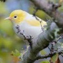 성심 호스텔 이미지