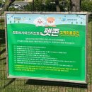 관음리 화장실(e마트24 뒤) | [강화도 가볼만한곳] 강화 루지 후기｜애견동반 가능, 부대시설 총정리