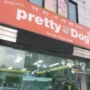 프리티 도그 이미지