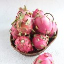 백용농장 이미지