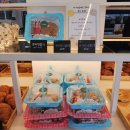 화담다인 | 경기광주 곤지암 대형카페 추천, 라꾸에스타 방문 후기. 주차 가능!