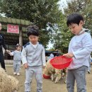 가을 소풍을 떠나요~! 양평 양떼 목장🐑 이미지