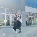 인셀덤아리따움