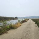 성덕우체국 네이버블로그