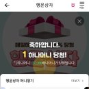 행운머니