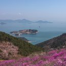 명상주차장(대금산 아래) 네이버블로그