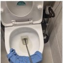 수원-1551 이미지