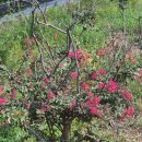 유계영당 | 논산 가볼 만한 유봉영당