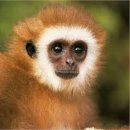 마이펫동물의료센터 이미지