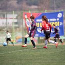 군민체육공원 인조3구장 이미지