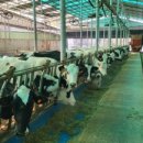 원해목장 이미지